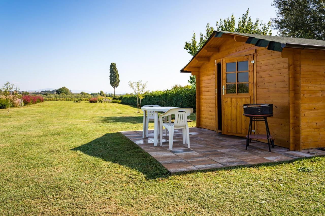 Bed and Breakfast Borgo Terrosi Синалунга Экстерьер фото